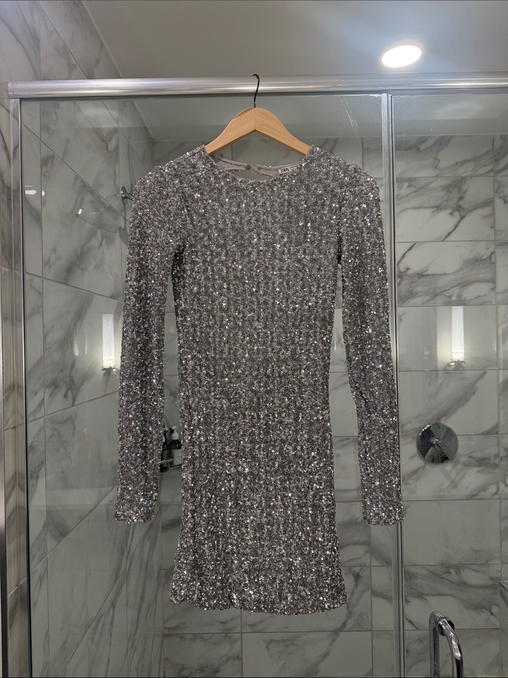 Zara Silver Sequin Long-Sleeve Mini Dress